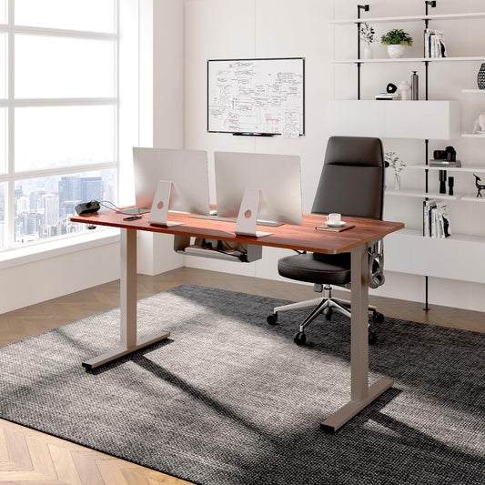 FLEXISPOT EN2 Whole-Piece Standing Desk with Clamp Power Strip, 48 X 30'' Height Adjustable Electric Stand up Desk with Cable Management (Gray Frame + Mahogany Top, 2 Packages)